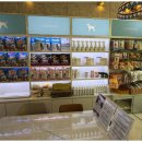 강아지와 고양이 이미지