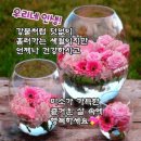 한세상 이미지