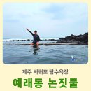 예래동 하예동무료주차장 | 제주 물놀이 가볼만한 곳 서귀포 예래동 논짓물 담수풀장 주차 샤워
