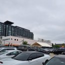 유니언버드 이미지