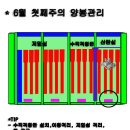 2017년 6월첫째주의 양봉관리(신왕양성,잡꿀채밀,신소비만들기,인공분봉,산란성일벌처리,병충해예방,도봉방지,분봉실패군처리 ) 이미지