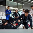용문주짓수