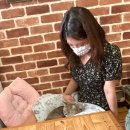 반갑다 창문밖 고양이 이미지