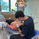 금산동초등학교 이미지