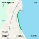 영덕4 | 제1회 영덕 샌드런 4km 후기