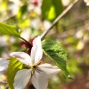 능선길 118 이미지