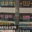 [안양 요양원/추천/후기/가격] 공경효자손요양원 안양 요양원 공경효자손요양원, 안정적인 돌봄 서비스