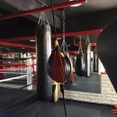 SD 복싱짐 이미지