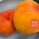 대지이용원 이미지