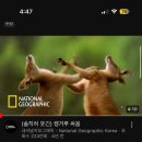 레고 PC방 | 졸준생의 처참한 개강후기