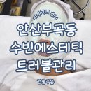 수빈에스테틱 - 도봉구 | 안산부곡동 피부케어 피부관리 여드름케어 피부맞춤 관리 수빈에스테틱 후기