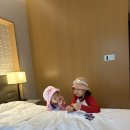 신화에너지 제일주유소 | 제주 신화월드 신회관 워터파크 여름에 다녀온 솔직 후기