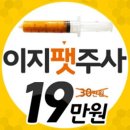 이지그룹 이미지