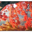 그리:닷