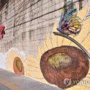 삼척 도계읍 도계느티로 강원 연합뉴스