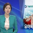 샘피치 이미지