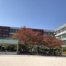 오천고등학교 이미지