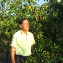 김영식농장 이미지