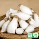 조림목장 이미지