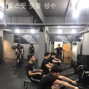 크로스핏 핏불 이미지