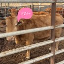 연동축산 이미지