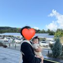 여긴어디강릉사기막 | 아기랑 신라 모노그램 강릉 2박 3일 호캉스 + 수영장...강릉역옹막, 산토리니커피, 정남미명과) 후기