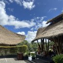 스위트림 | [Aksari Resort] 우붓 저 깊이, 정글뷰 신혼여행성지 5성급 악사리리조트 그랜드 스위트룸 투숙후기