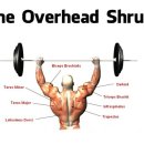 jkj 헬스 이미지