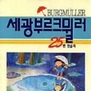 세광마스터 이미지