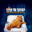 『가필드』(garfield) 얄미운 고양이가 사랑스럽다? 이미지