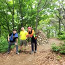 솔빛농장 이미지