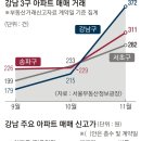 강남-215 이미지