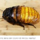제빵사