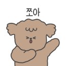 티어리베 이미지