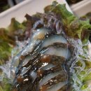 연안부두 목포신안18호횟집 이미지