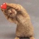 제과기능사(실기) 과정 이미지