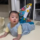 화이트썬데이 | 썬데이허그 실키밤부 슬리핑백 수면조끼 7개월 M사이즈 착용 후기