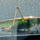 선홍공인중개사사무소 이미지