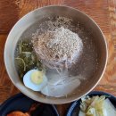 양평막국수 | 경기도 양평 비발디파크 맛집 메밀가막국수 솔직후기