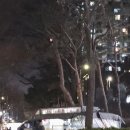 [가락시장 짜장트럭] 가락시장역 3번출구 기계짜장 &amp; 우동트럭 후기