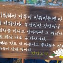 낙지골목 티스토리