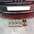 새전주모터스 이미지