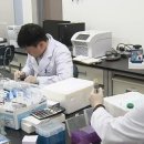 제노시스바이오연구소 주식회사