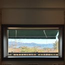 벨라마레 이미지