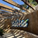 아르떼 | 멕시코 칸쿤 스칼렛 아르떼 셀하 후기💦🌊🐟