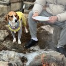 포레스트벨리 이미지