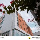 세종장영실고등학교 이미지