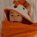 스테이토성당 이미지