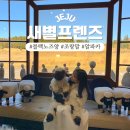 종인목장 | 제주 애월 동물원 새별프렌즈 할인_알파카 목장 가볼 만한 곳