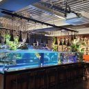 단짠아쿠아 평화점 이미지